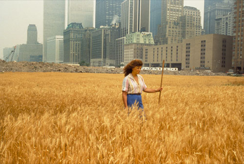 Untitled (Field)